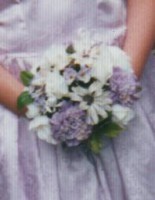 /album/portfolio/a019-jpg/