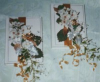 /album/portfolio/a050-jpg/