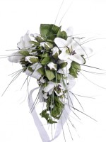 /album/portfolio/ebr-jpg/