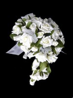 /album/portfolio/hbr-jpg/